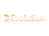 Evolution_gaming-logo-footer